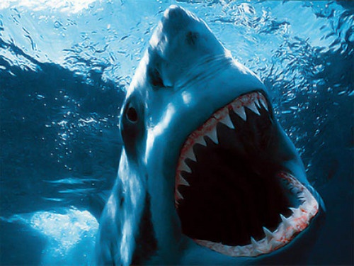 3 Killer Ways to Improve Your Writing